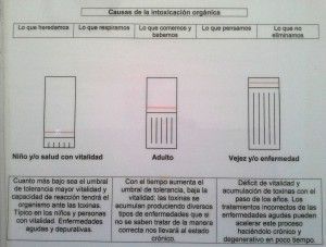 Salud 2